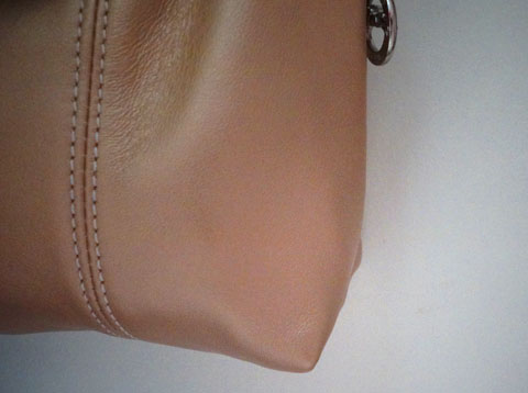 LongchampCrossbody04