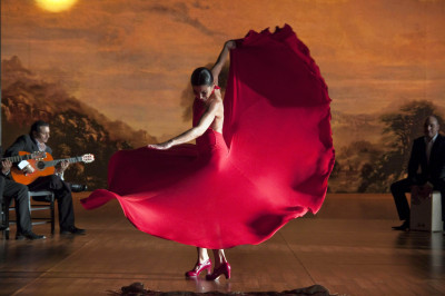flamenco-flamenco-3