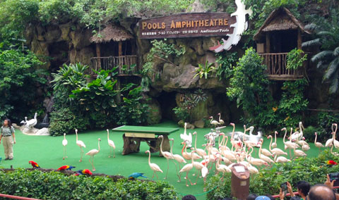 JurongBirdPark02