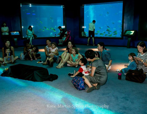 SEA Aquarium 'Mummy And Me', Resort World Sentosa