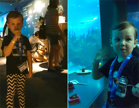 SEA Aquarium 'Mummy And Me', Resort World Sentosa