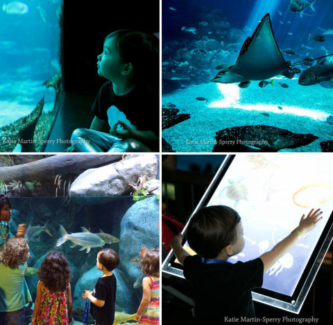 SEA Aquarium 'Mummy And Me', Resort World Sentosa