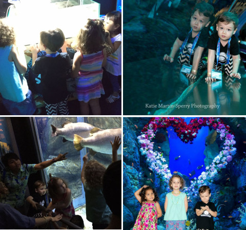 SEA Aquarium 'Mummy And Me', Resort World Sentosa