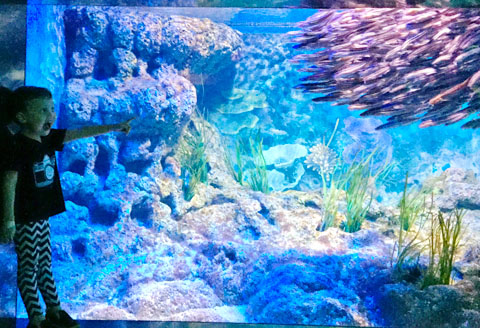 SEA Aquarium 'Mummy And Me', Resort World Sentosa