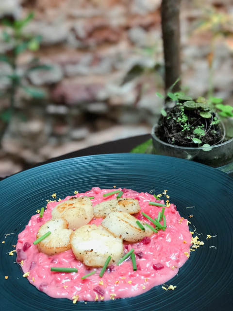 Epiphyte Cafe Singapore pink risotto